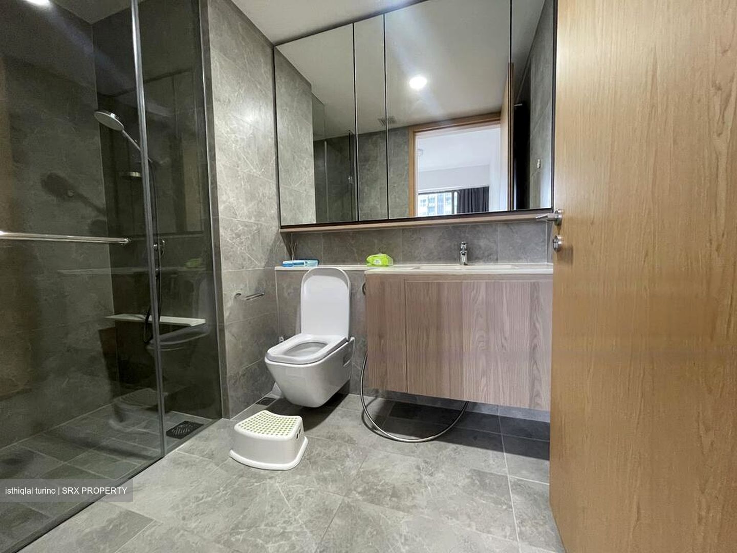 Twin Vew (D5), Apartment #480600721